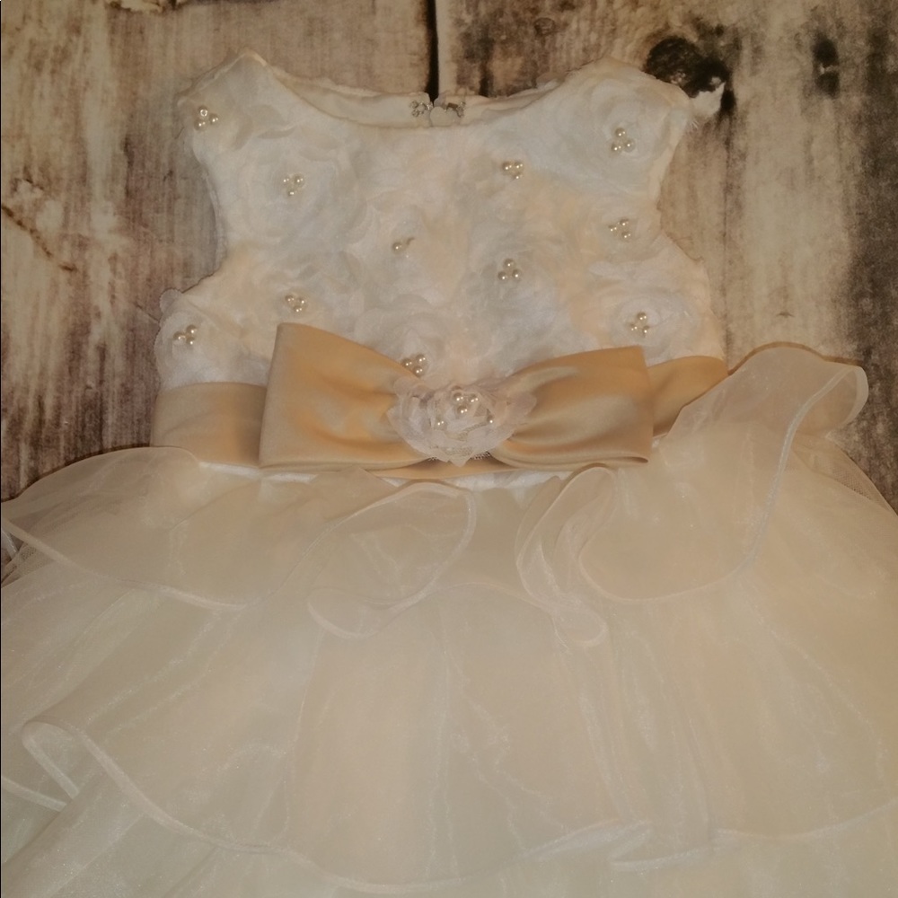 Girls Party Dress - Christie Helene 24 months